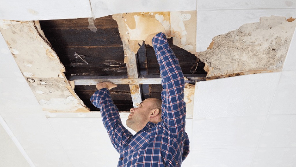 How Emergency Water Mitigation Protects Your Home from Water Damage
