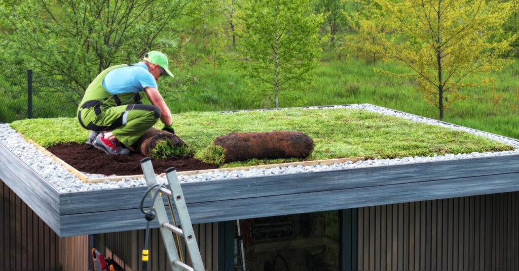 Green Roofing Solutions Guide