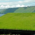 Sustainable Roofing Materials for 2025 and Beyond