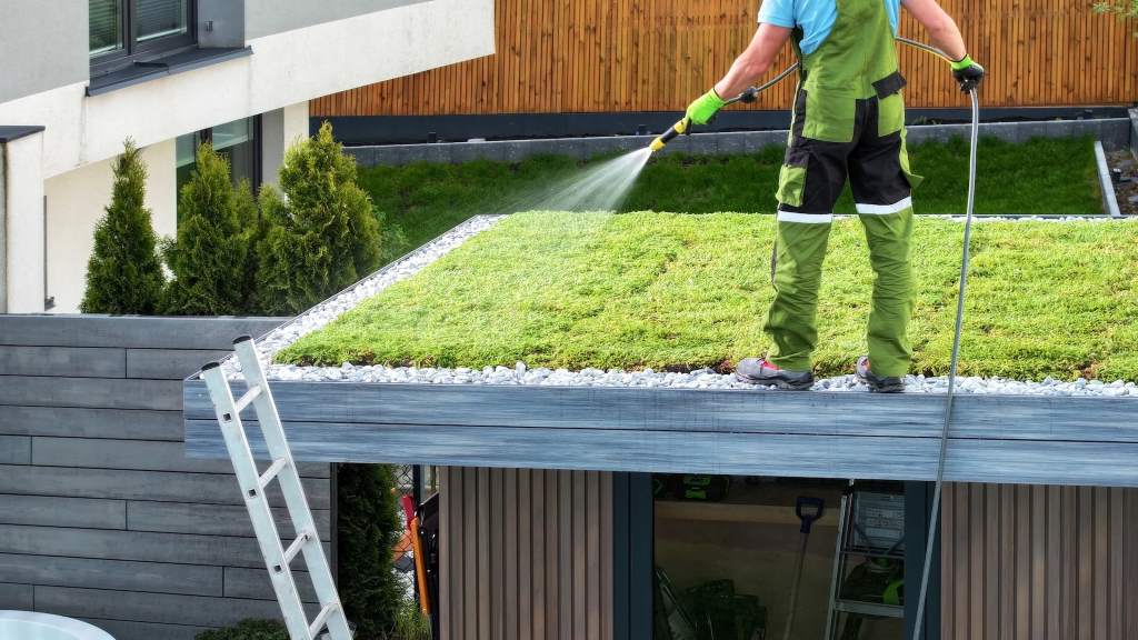 Key Benefits of Green Roofing Systems