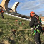 A Year-Round Guide to Biodiverse Green Roof Maintenance